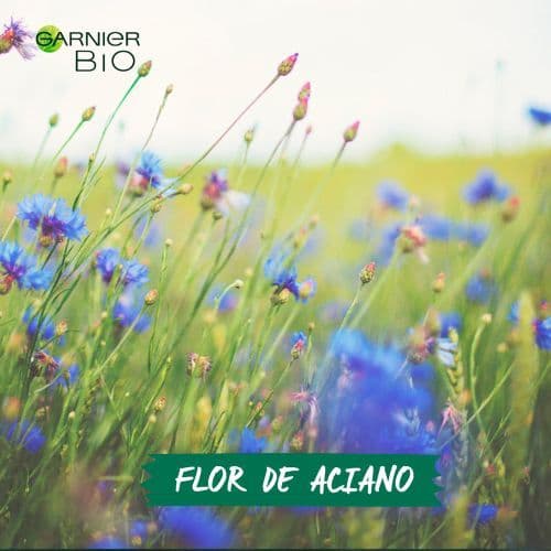 Flor de Aciano Calmante