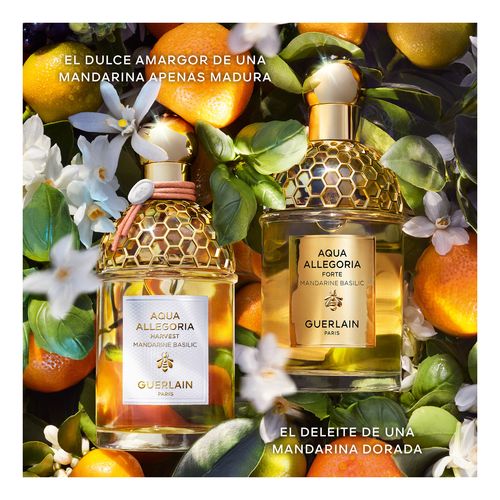 Aqua Allegoria Harvest Mandarine Basilic
