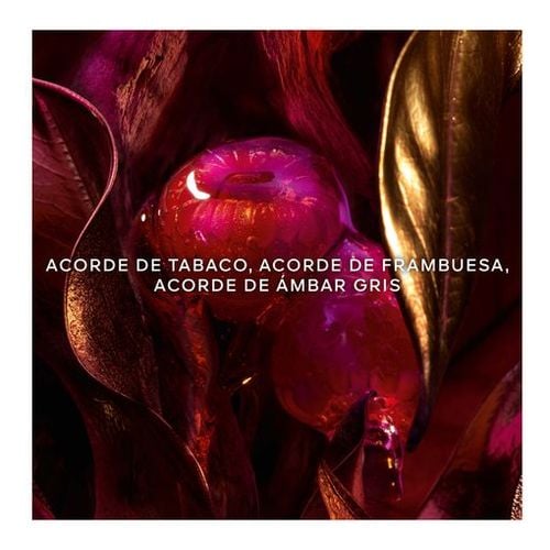 Absolus Allegoria Tabac Sahara