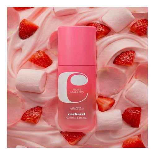 Rose Mallow
