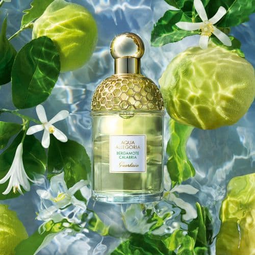 Aqua Allegoria Bergamota Calabria Recargable Edt