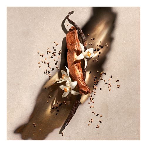 Zadig Eau de Parfum