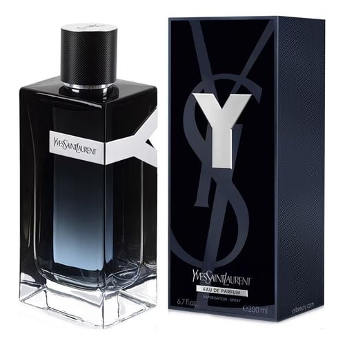 Y  edp