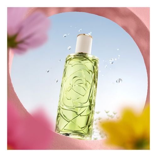 O de Lancôme Off Now