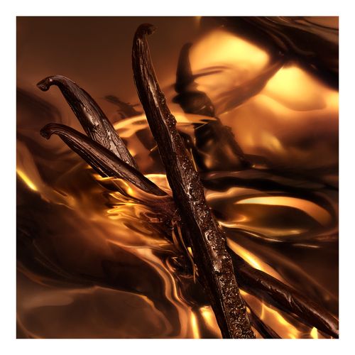 Forever Wanted Absolu