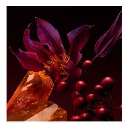 The Scent Elixir For Her