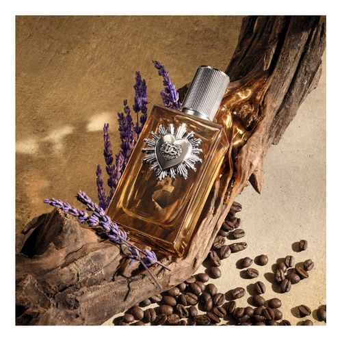 Devotion Him Parfum