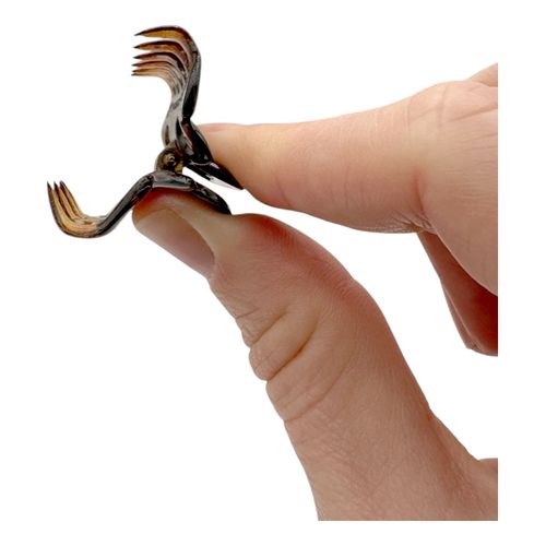 Pinza Concha Francesa Peque&ntilde;a
