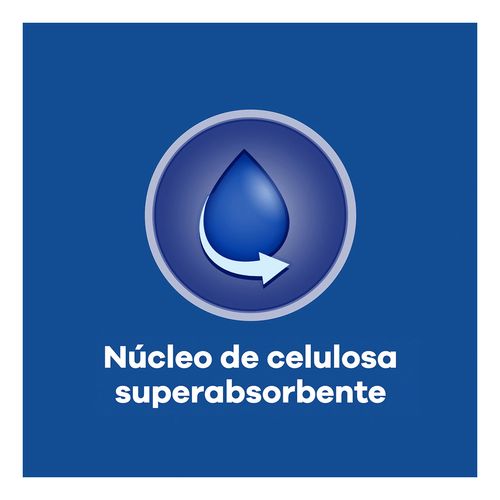 Normal Anat&oacute;mica