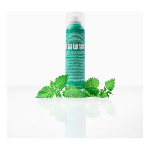 Champ&uacute; Seco a la Ortiga con Color Natural