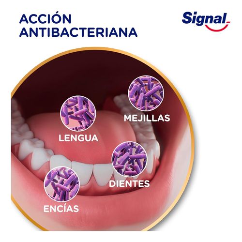 Limpieza Intensiva Triplo