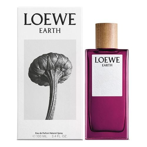 Earth Edp