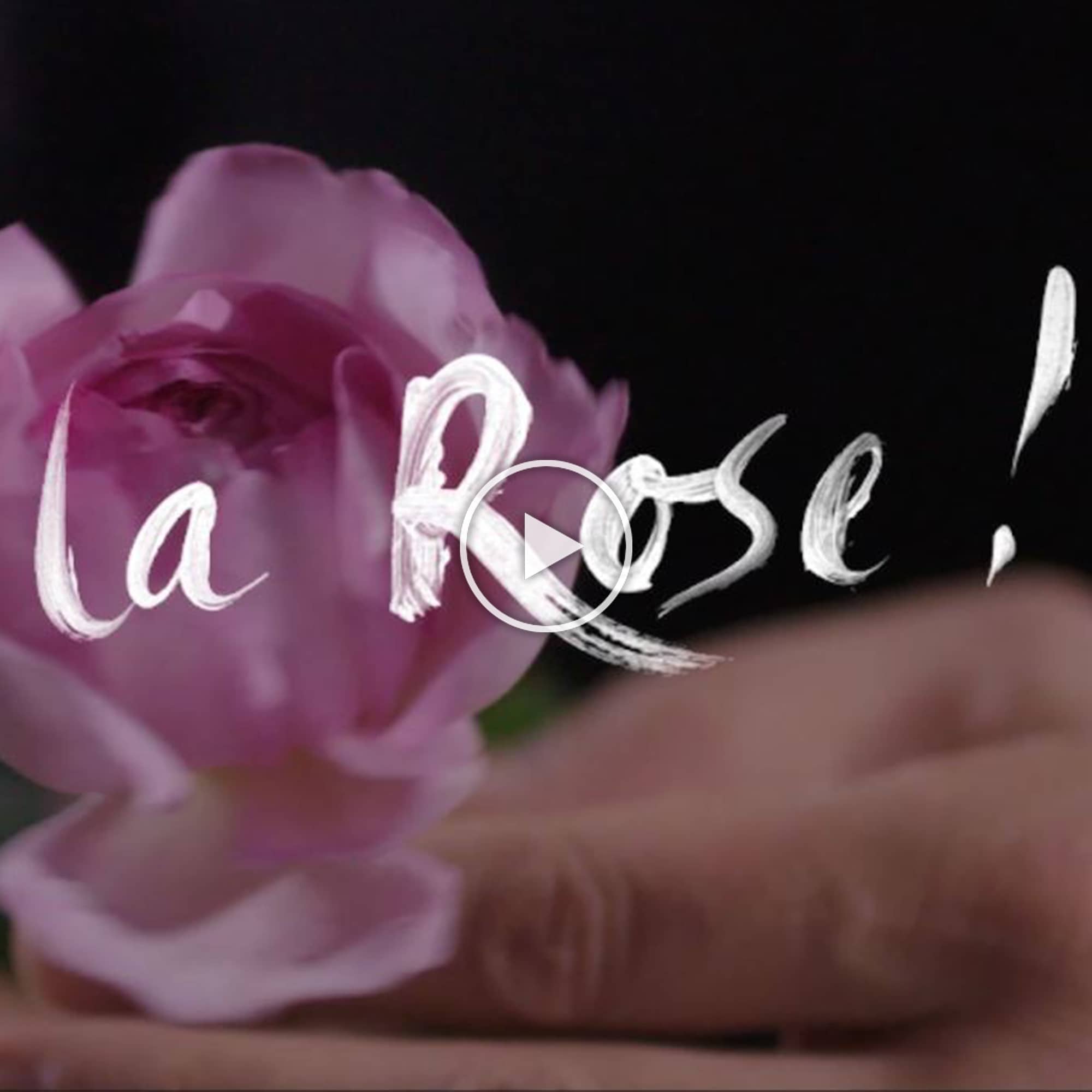 LA PETITE ROBE NOIRE Edp