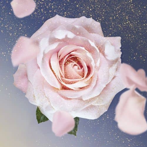La Vie Est Belle Oui edp