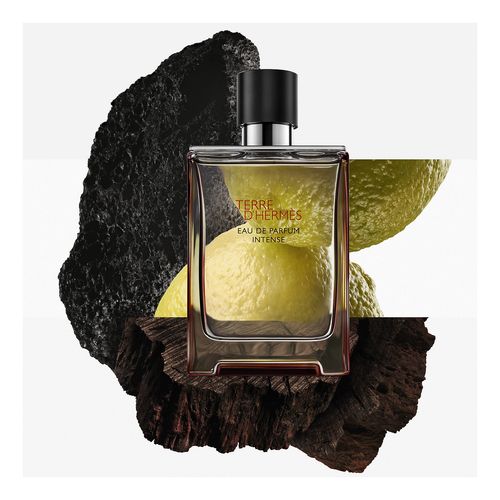 Terre Ph Edp Intense