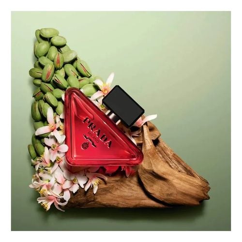 Paradoxe Radical Essence