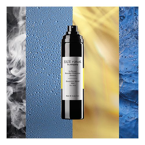 La Brume Bouclier Protection
