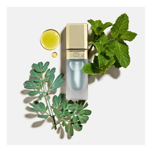 Lip Mint Oil Plumper