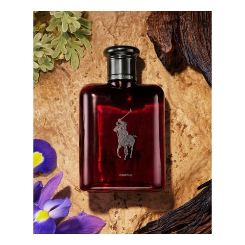 Polo Red Edp