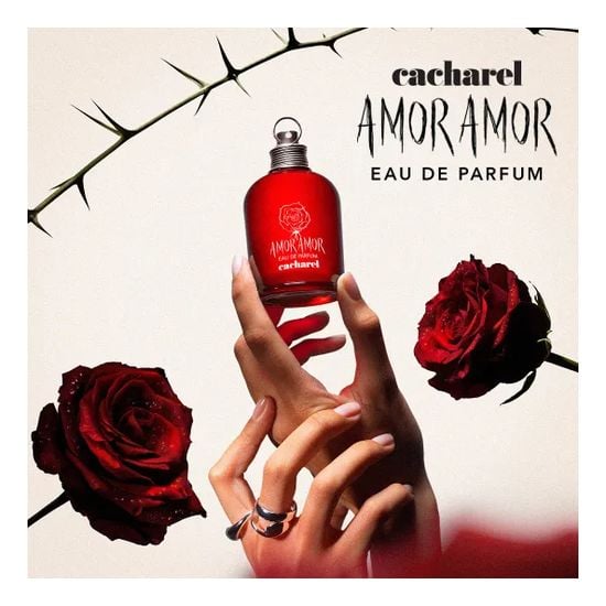 Amor Amor Edp