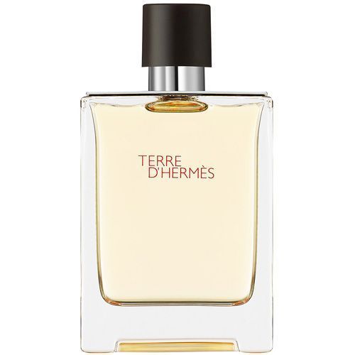 Terre D'Herm&eacute;s edt