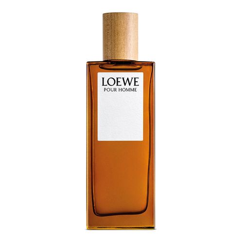 Loewe Pour Homme Edt