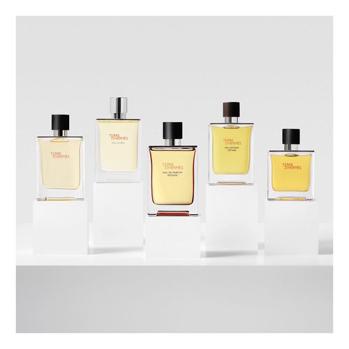 Terre Ph Edp Intense