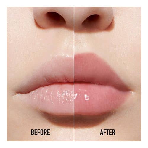 Dior Addict Lip Maximizer