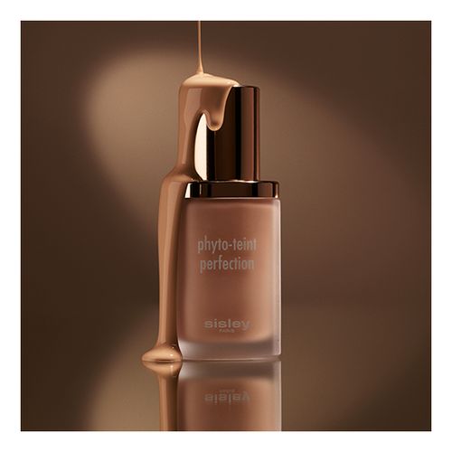 Phyto-Teint Perfection