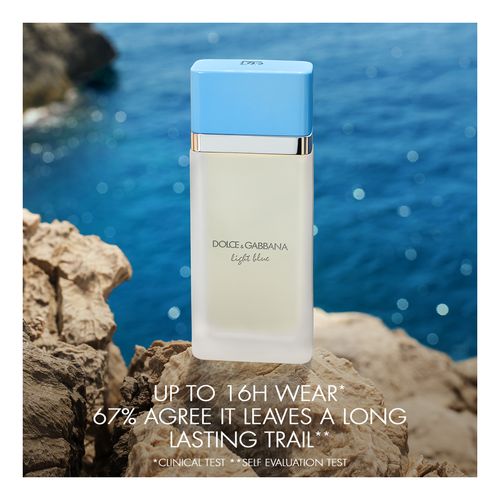 Light Blue Estuche