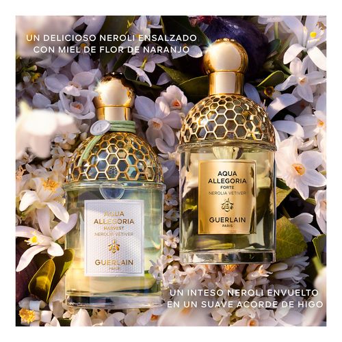 Aqua Allegoria Harvest Nerolia Vetiver