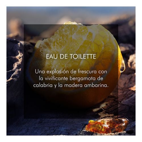 Sauvage Eau de Toilette