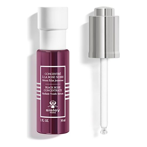 Concentr&eacute; &agrave; la Rose Noire