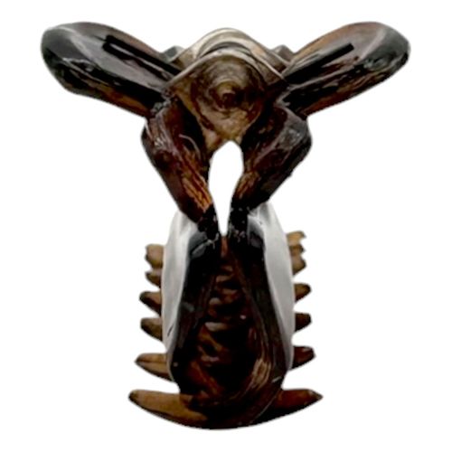 Pinza Concha Francesa 3cm