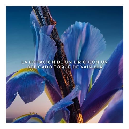 L'Heure Bleue Cofre