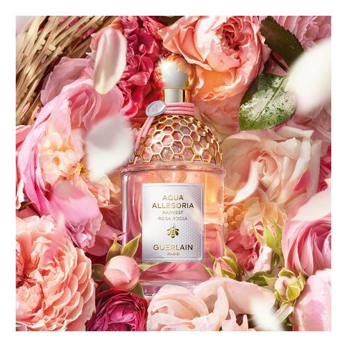 Aqua Allegoria Harvest Rosa Rossa