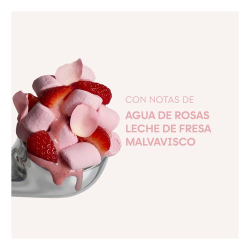 Rose Mallow