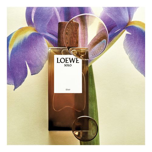 Solo Elixir