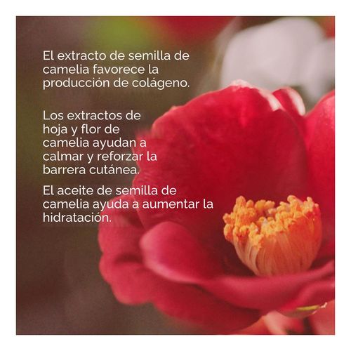 Ultimune Power Infusing