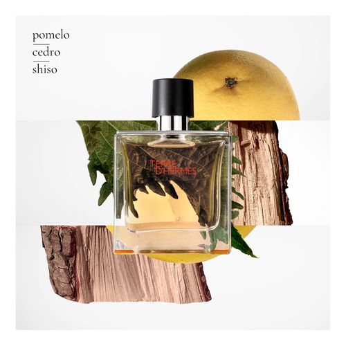 Terre D'Herm&eacute;s