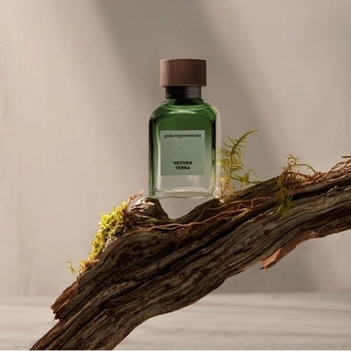 Vetiver Terra Edp