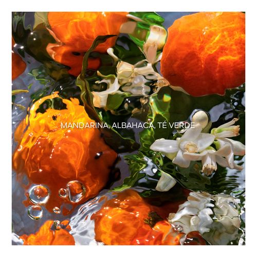 Aqua Allegoria Mandarine Basilic Edt Estuche