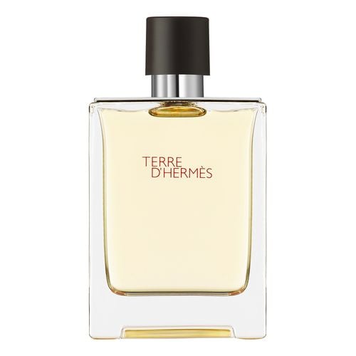 Terre D'Herm&eacute;s Eau de Toilette
