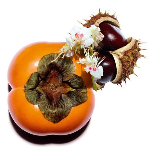 Nutri-Lumière Revive