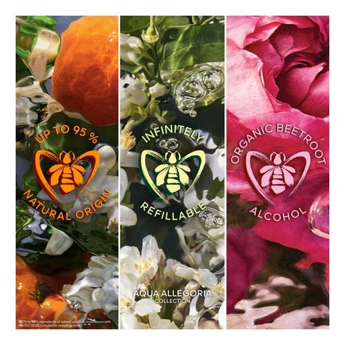 Aqua Allegoria Forte Mandarine Basilic - Cofre