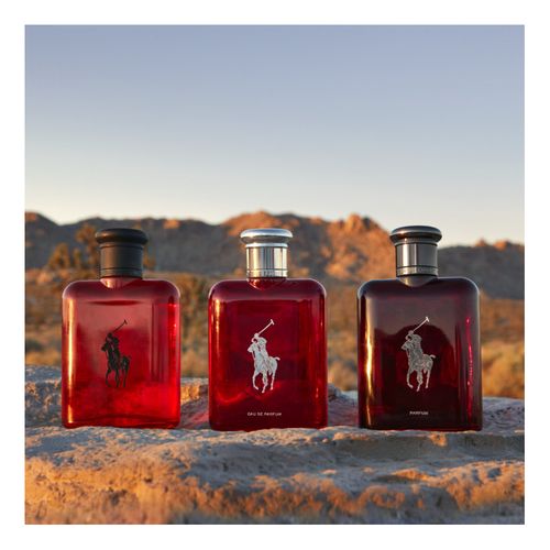 Polo Red Edp