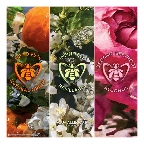 Aqua Allegoria Mandarine Basilic Forte - Coffret