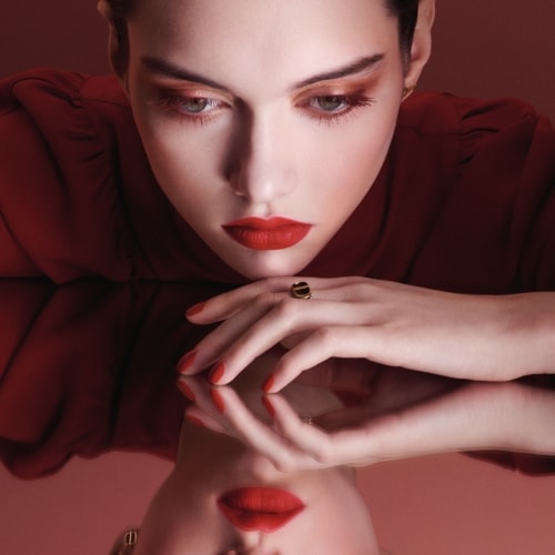 Rouge Dior Edición Limitada Fall Look