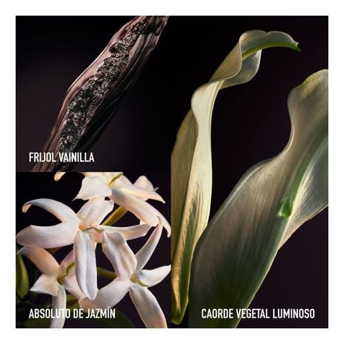 Olympea Parfum