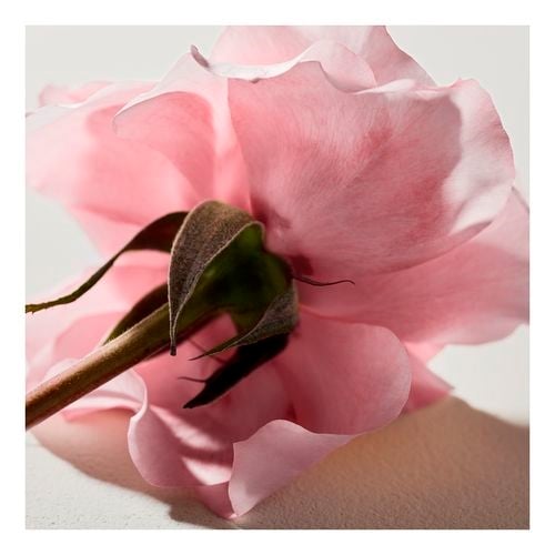 Chloé Signature Edp